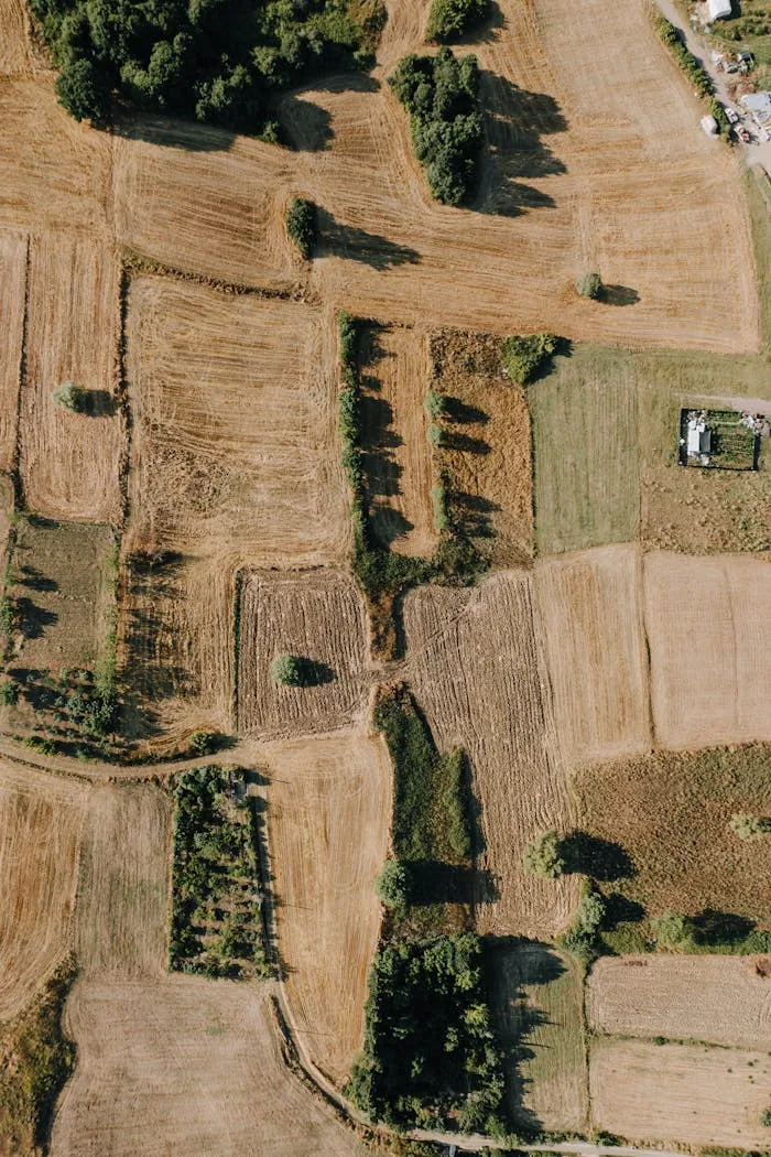 A stunning aerial view of rural fields during summer near Istanbul, showcasing patterns and greenery.