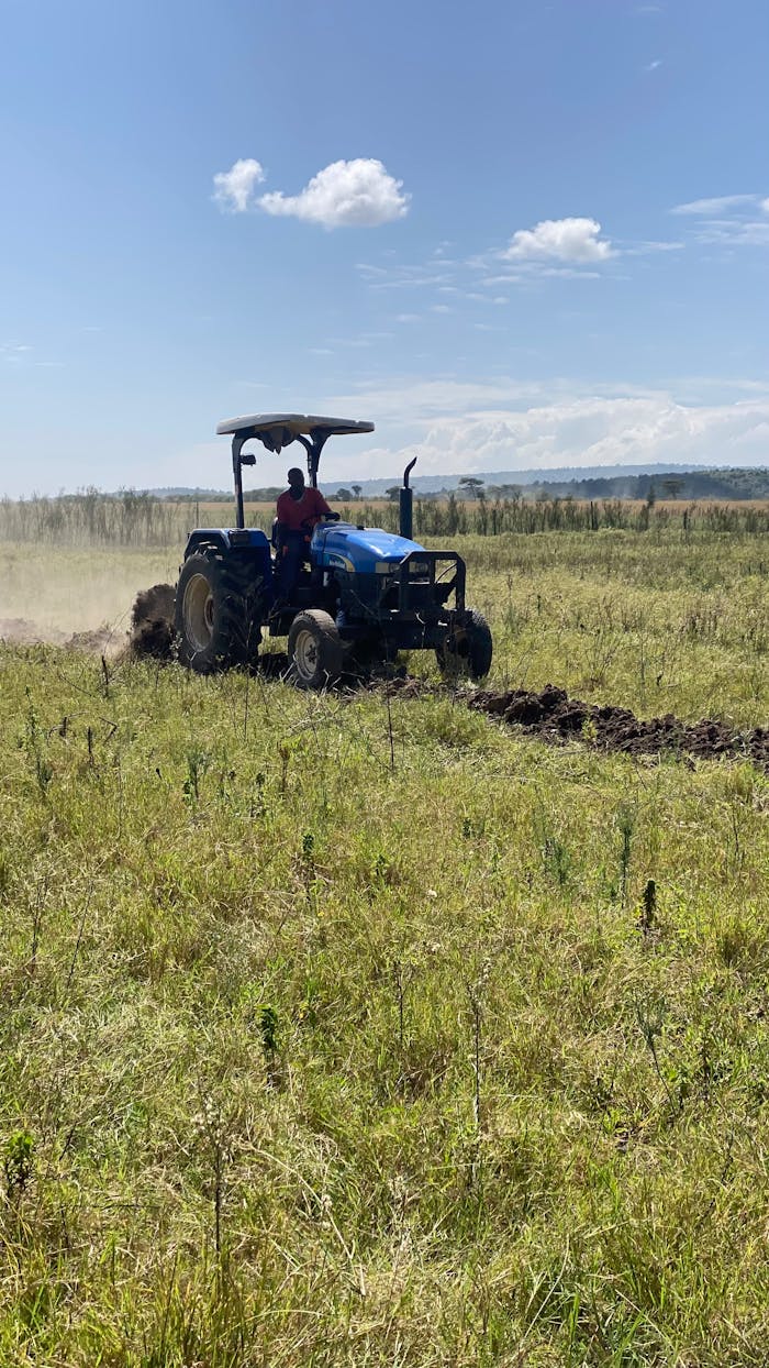portfolio-04 A farmer operating a blue tractor in a sunny field, preparing the land for cultivation.
